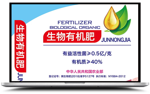 公司简介广告